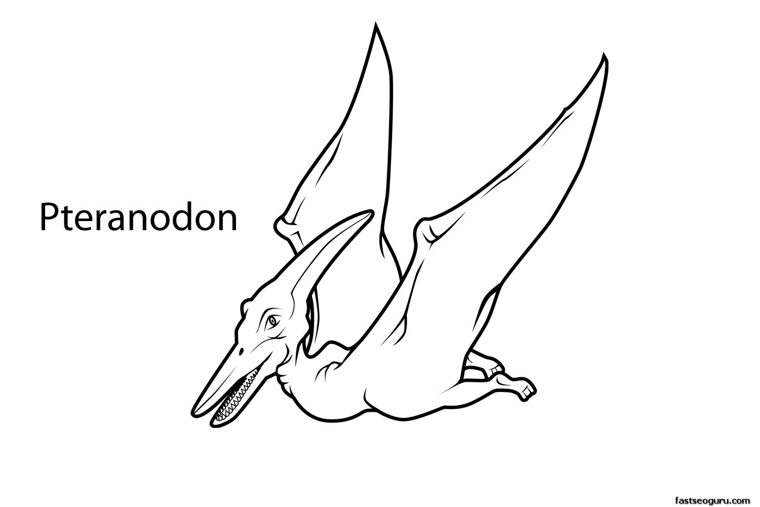 Printable dinosaur pteranodon coloring page Printable